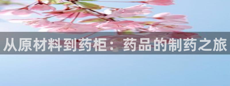 龙8网页版登录官网挪威主权基金